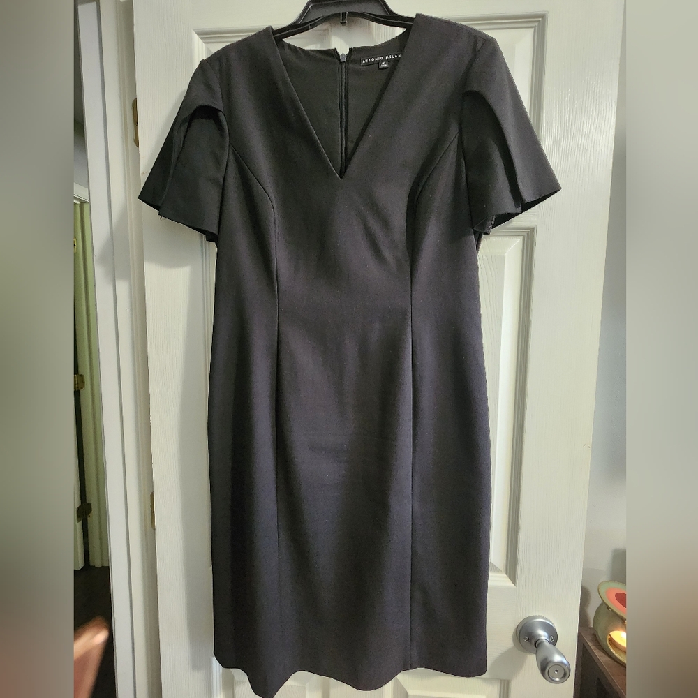 Black Antonio Melani Dress Size 10